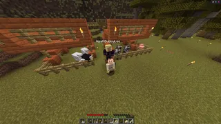 Minecraft Doc Day 12 Farm animals gathered and penned on Day 12.