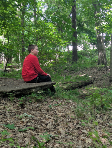 screenshot-2025-08-13T14-09-38-115Z.png A Walk Through The Woods With Wyatt