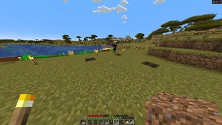 Minecraft Doc Day 12 Beet and pumpkin farm plots prepared near the main base.